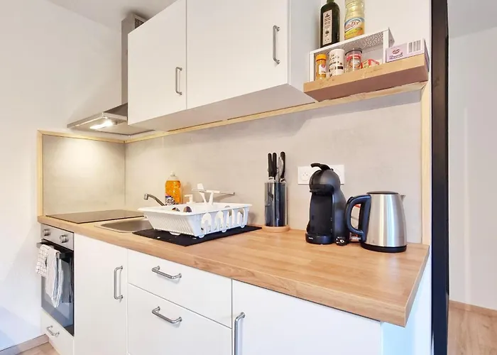 Apartamento Les Bouleaux D'alsace - Parking Mulhouse