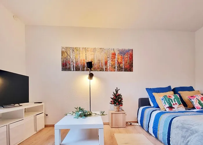 Les Bouleaux D'alsace - Parking * Mulhouse